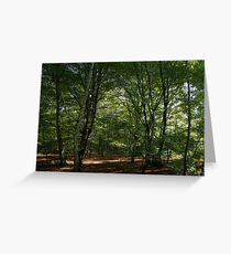 Trees Greeting Card