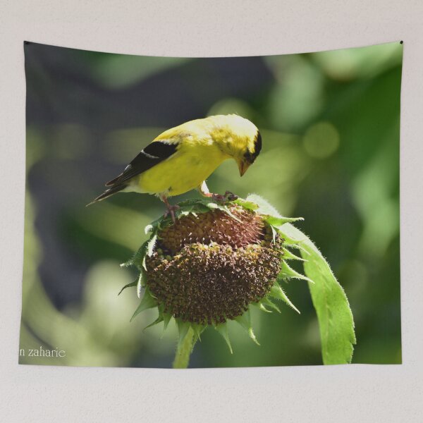 Item preview, Gold Finch designed and sold by Maureen Zaharie.
