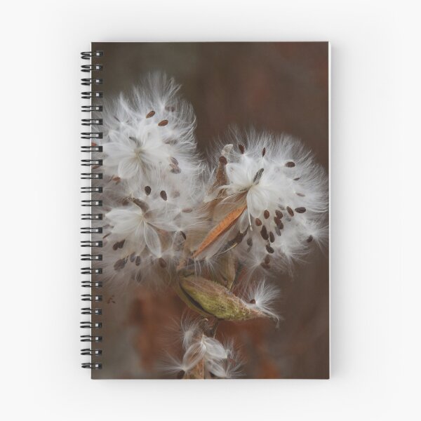 Item preview, Natural Bouquet of Milkweed Seed... designed and sold by Poete100.