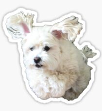 Moby Sticker
