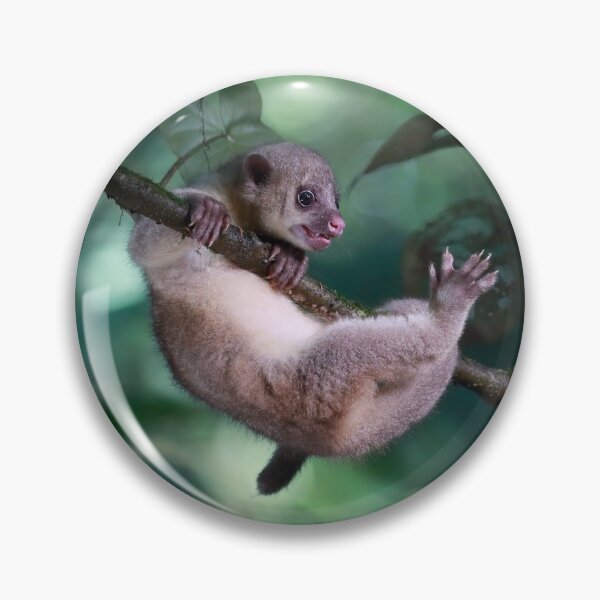 Item preview, Hang In There! designed and sold by mlorenz.