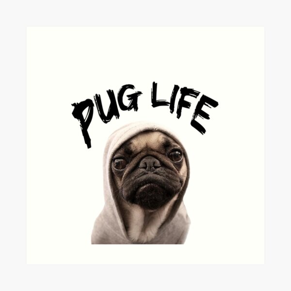 Pug Life Gifts Merchandise Redbubble - pug life roblox