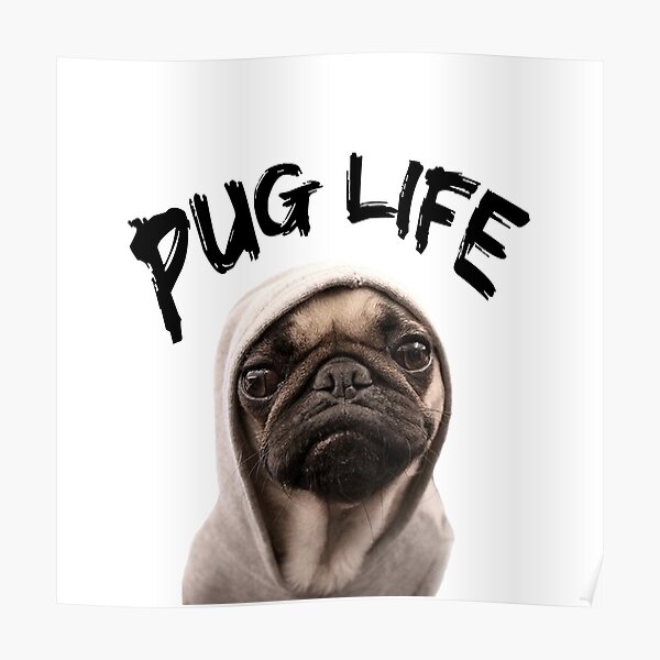 Pug Life Poster