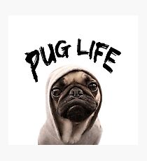 Mops Leben Fotodruck