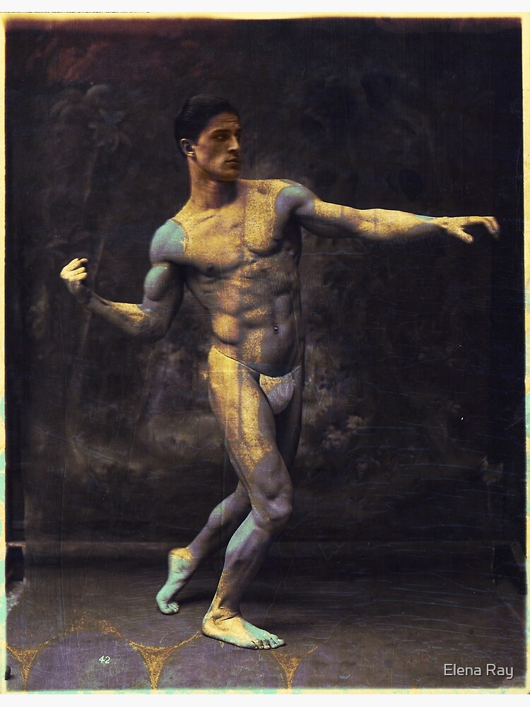 Vintage Boxer Modern Art by ElenaRay