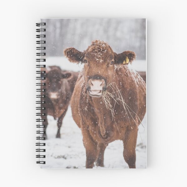 Item preview, Red Cow designed and sold by HolsteinHeaven.