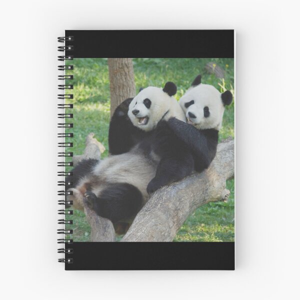 Item preview, Giant Pandas Tian Tian and Mei Xiang at the National Zoo designed and sold by Zoo and Nature Photography by Karie.