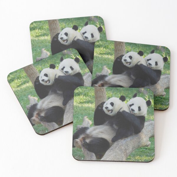 Item preview, Giant Pandas Tian Tian and Mei Xiang at the National Zoo designed and sold by Zoo and Nature Photography by Karie.