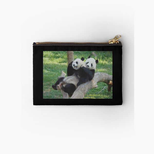 Item preview, Giant Pandas Tian Tian and Mei Xiang at the National Zoo designed and sold by Zoo and Nature Photography by Karie.