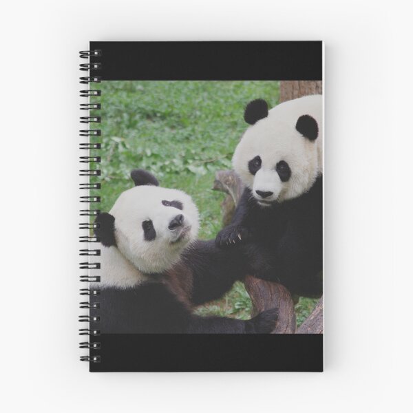 Item preview, Giant Pandas Tian Tian and Mei Xiang at the National Zoo designed and sold by Zoo and Nature Photography by Karie.