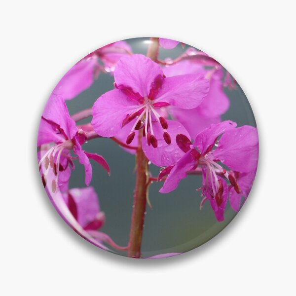Item preview, Alaskan Fireweed 3 designed and sold by jonesing.