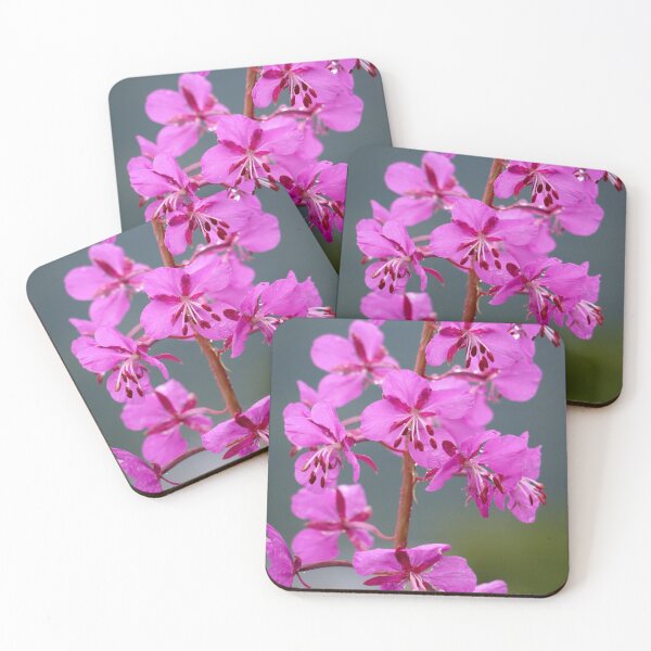 Item preview, Alaskan Fireweed 3 designed and sold by jonesing.