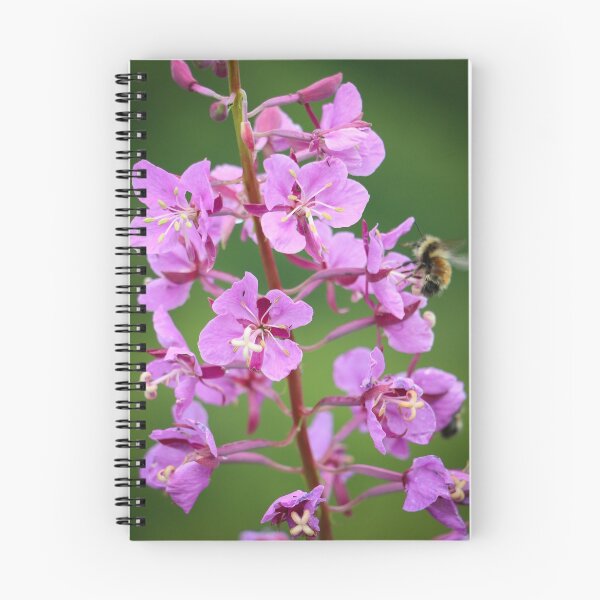 Item preview, Alaskan Fireweed 4 designed and sold by jonesing.