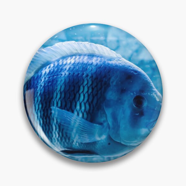 Aperçu de l'œuvre poisson bleu créée et vendue par Marcos Ayala.