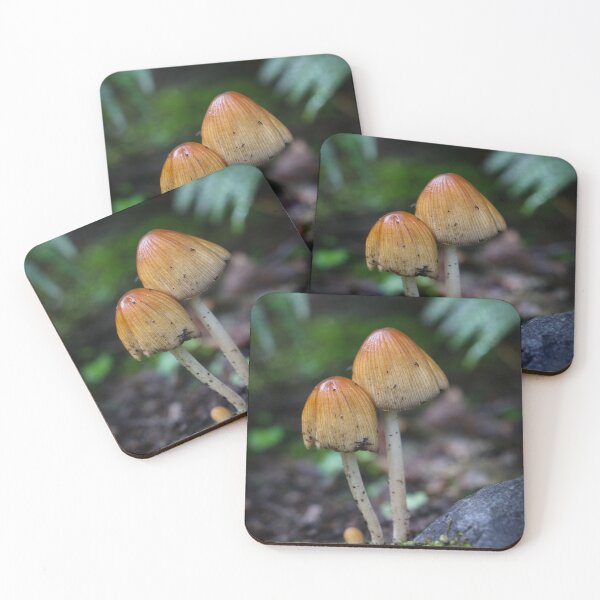 Item preview, Two Mushrooms designed and sold by jonesing.
