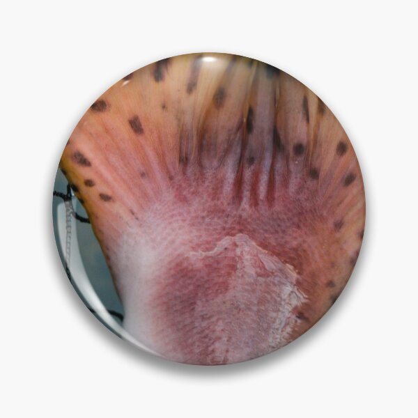 Item preview, Salmon Tail designed and sold by jonesing.