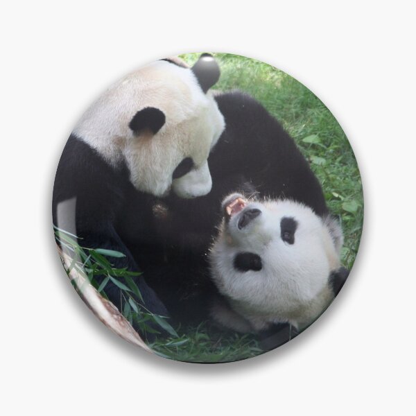 Item preview, Giant Pandas Mei Xiang and Tian Tian at the National Zoo designed and sold by Zoo and Nature Photography by Karie.