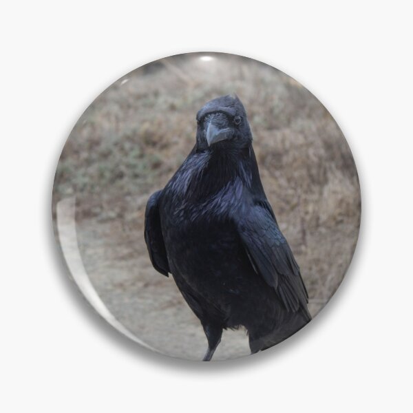 Item preview, Beach Raven designed and sold by jelli-designs.