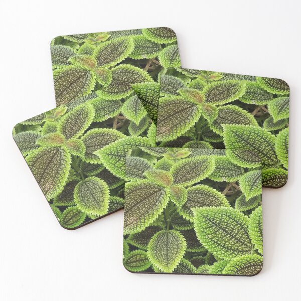 Item preview, Leaves of Green designed and sold by Rooster Syndicate.