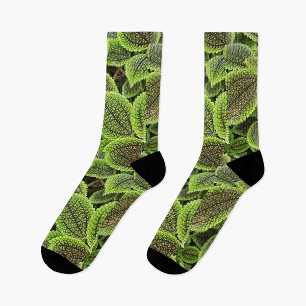 Item preview, Leaves of Green designed and sold by Rooster Syndicate.