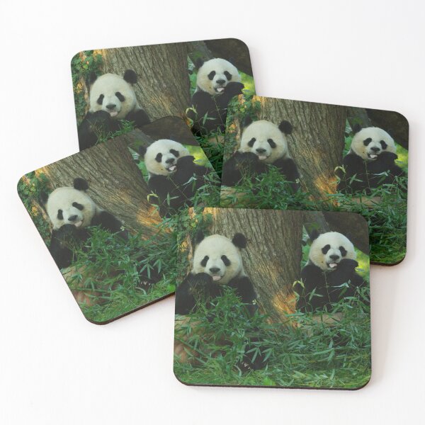 Item preview, Giant Pandas Tian Tian and Mei Xiang at the National Zoo designed and sold by Zoo and Nature Photography by Karie.