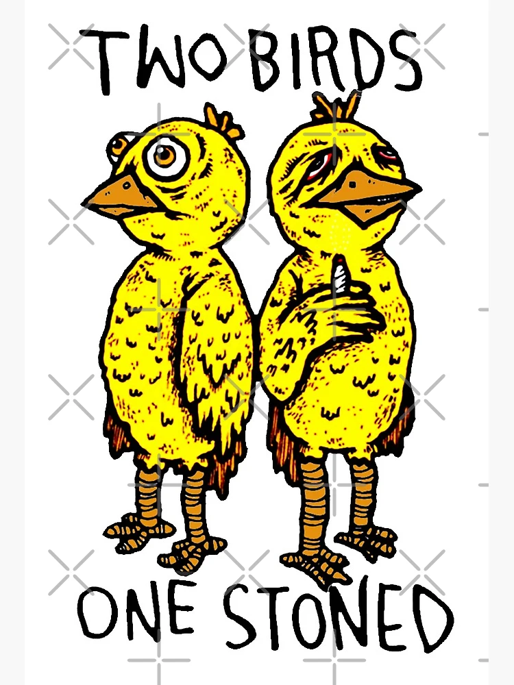 Two Birds one stoned Poster for Sale by TheHand-art