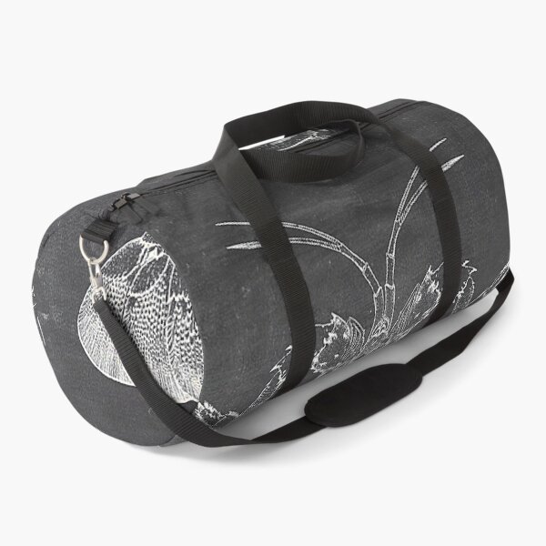 Item preview, Lobster Chalkboard designed and sold by JoolyA.