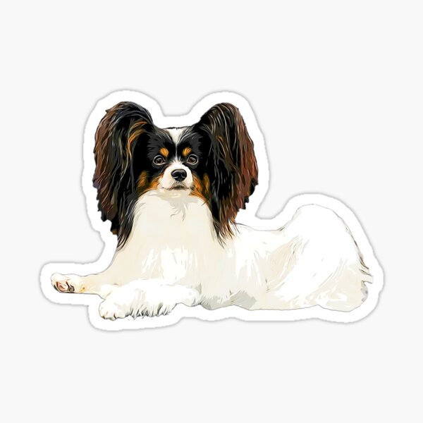 Euro Papillon Papillons Dog Graphic Decal Sticker Car Wall Oval NOT Two Colors 
