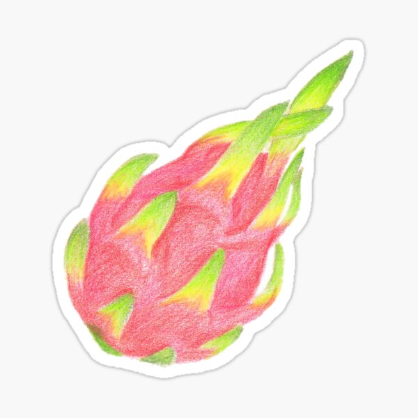 Dragonfruit Sticker