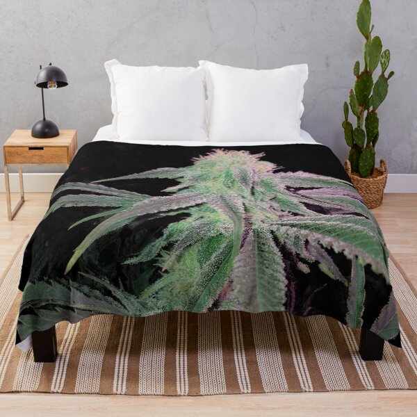 Item preview, Cannnabis Blurple LED High THC designed and sold by Canadian-Garden.