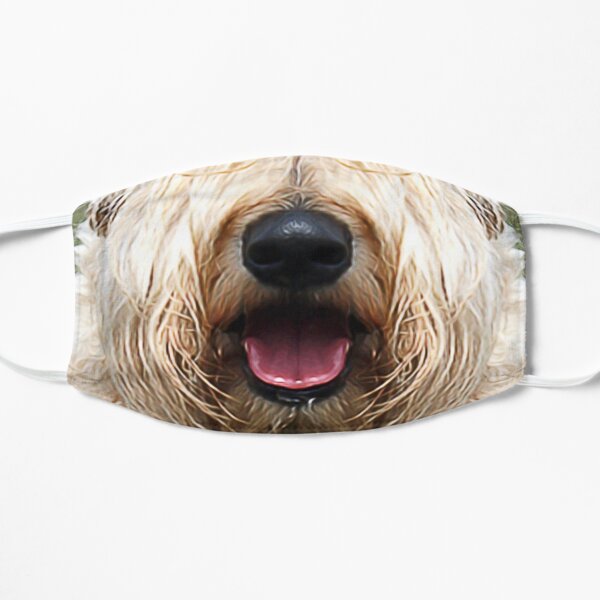 Soft Coated Wheaten Terrier SCWT Hundeliebhaber Lustiges Gesicht Haustier Porträt Nette Welpentiere Geschenke Sicherer Gesichtsschutz für Männer Frauen Flache Maske