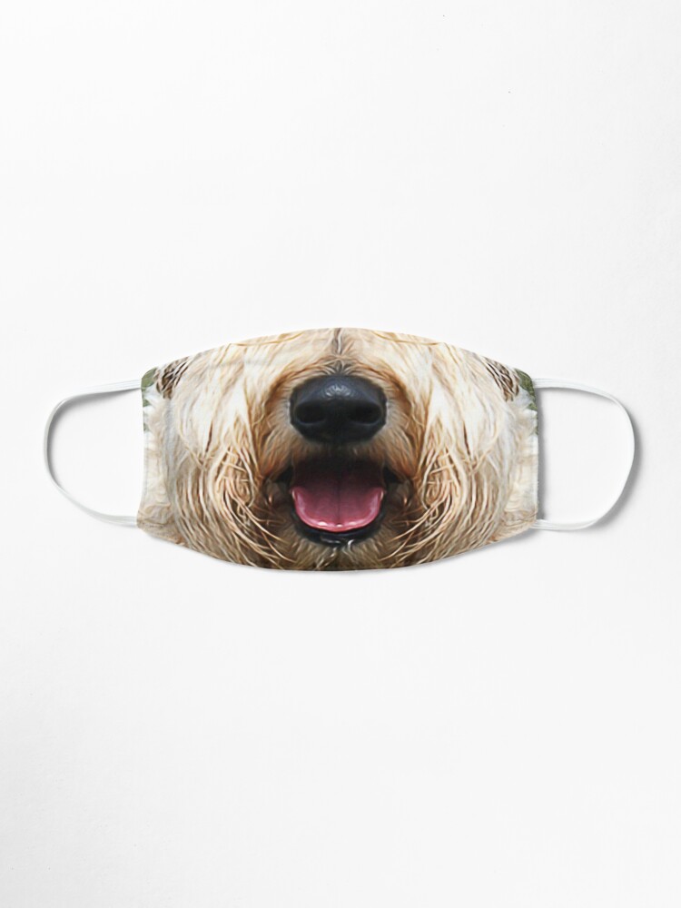 wheaten terrier face