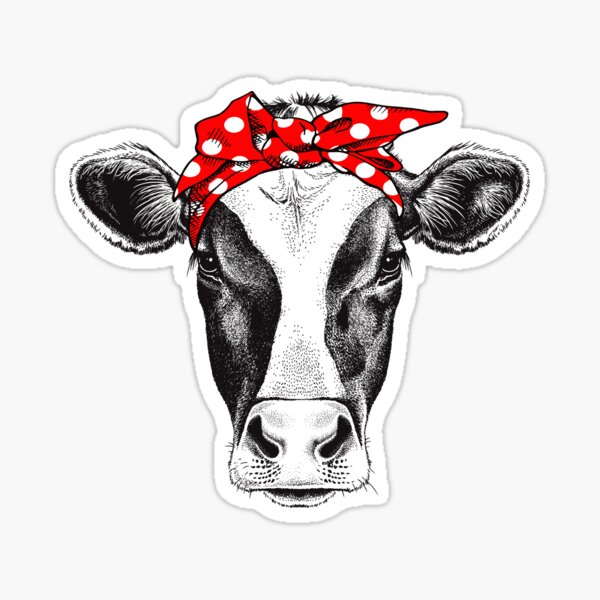 Funny Beautiful Cow Sticker