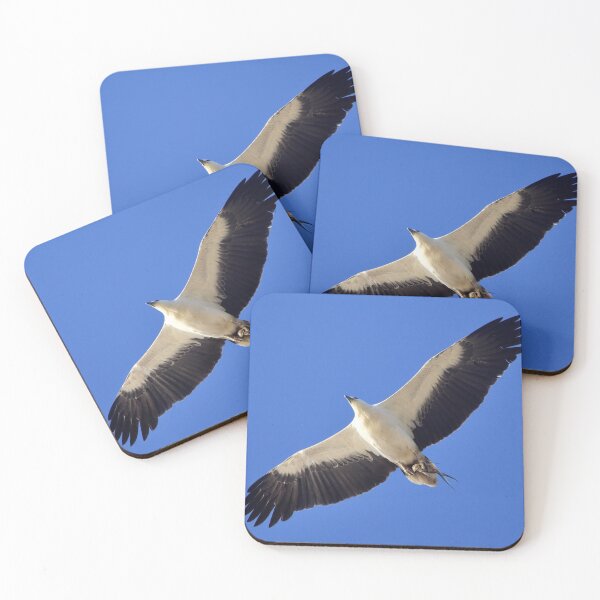 Item preview, White bellied sea eagle over Cylinder Beach designed and sold by Meg Forbes.
