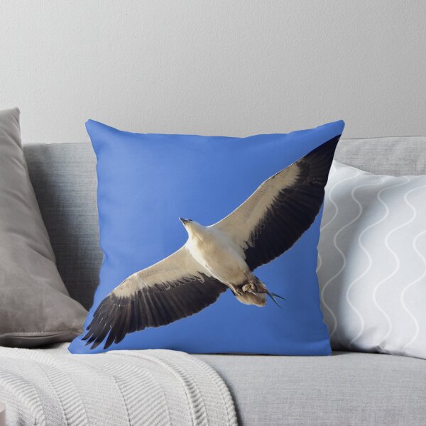 Item preview, White bellied sea eagle over Cylinder Beach designed and sold by Meg Forbes.
