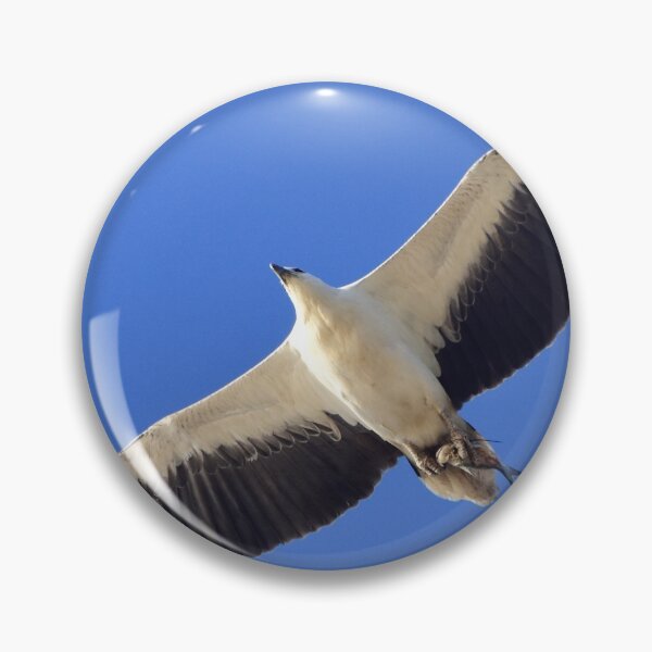 Item preview, White bellied sea eagle over Cylinder Beach designed and sold by Meg Forbes.
