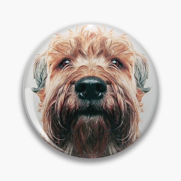 Item preview, Soft Coated Wheaten Terrier SCWT Dog Lover Closeup Face Puppy Animal  designed and sold by Dolphin Graphic.