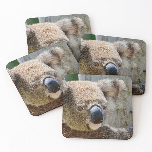 Item preview, A wild koala in the Redlands, Australia designed and sold by Meg Forbes.