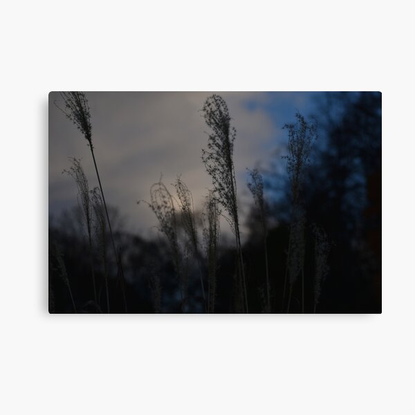 Item preview, The early winter landscape of the crop field designed and sold by visualdiarydots.