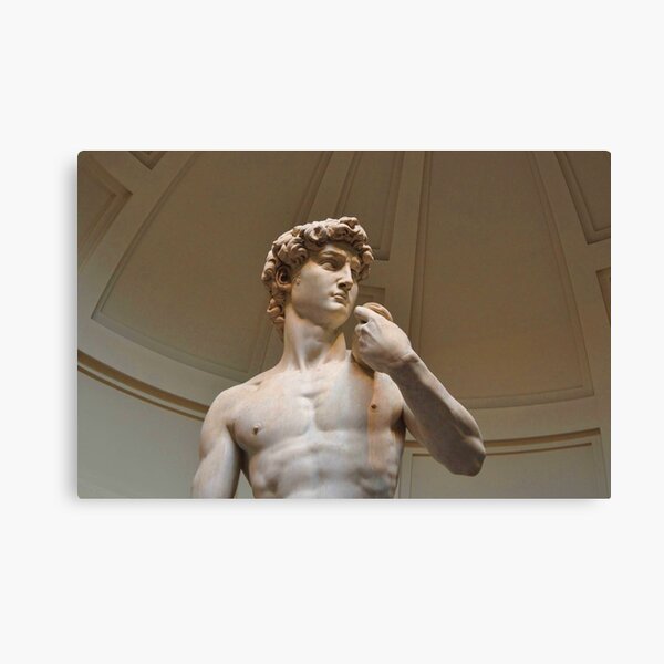 Item preview, David.   De Miguel Ángel Buonarroti... designed and sold by cieloverde.