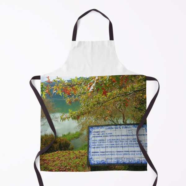 Item preview, Lake and azulejo tiles designed and sold by Gaspar Avila.