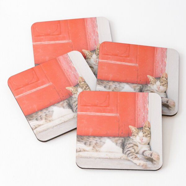 Item preview, 506. Hard life for a cat, Mykonos, Greece designed and sold by Julie Travel Photography.