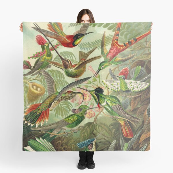 Item preview, Colibri - Ernst Haeckel designed and sold by billythekidtees.
