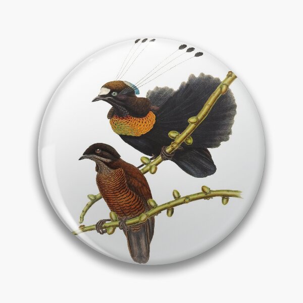 Item preview, Bird of Paradise - Parotia Lawesii designed and sold by billythekidtees.