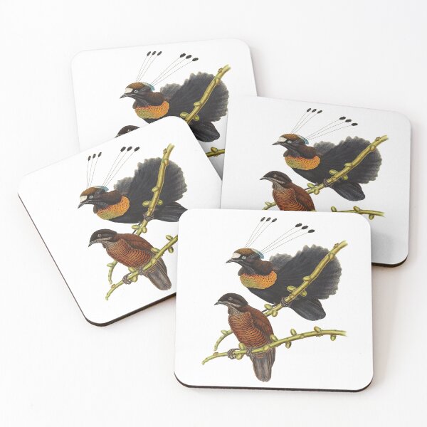 Item preview, Bird of Paradise - Parotia Lawesii designed and sold by billythekidtees.
