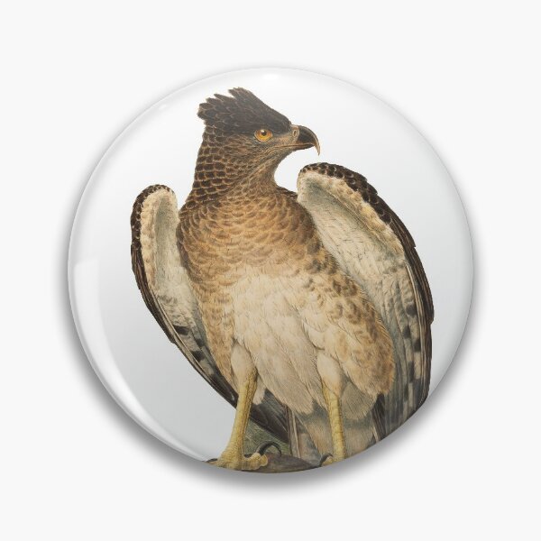 Item preview, Papuan Eagle - Harpyopsis Novaeguineae designed and sold by billythekidtees.