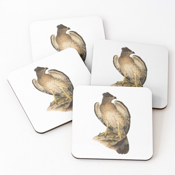 Item preview, Papuan Eagle - Harpyopsis Novaeguineae designed and sold by billythekidtees.