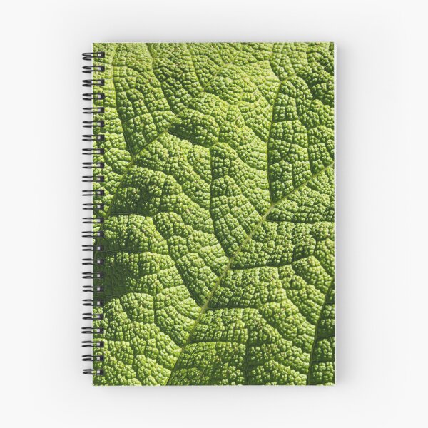 Aperçu de l'œuvre Feuille de Gunnera verte créée et vendue par Zero-Infinite.