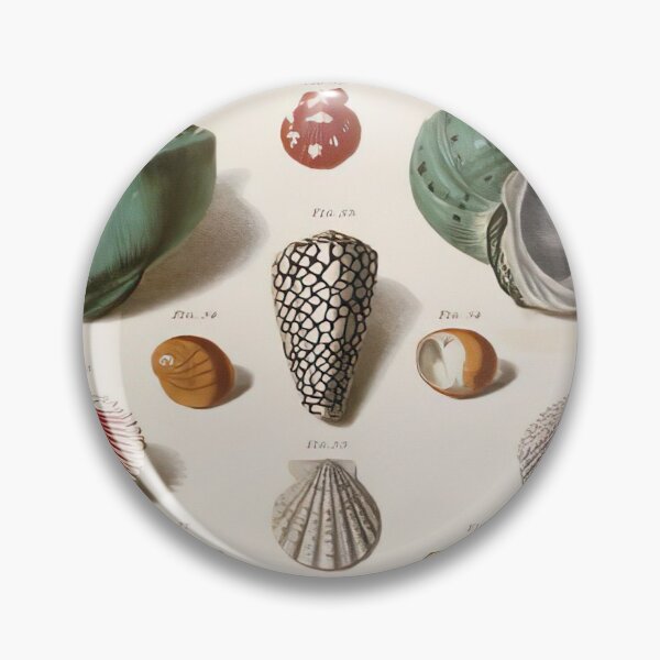 Item preview, Shells Illustration designed and sold by click4collage.