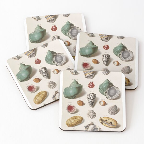 Item preview, Shells Illustration designed and sold by click4collage.
